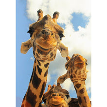 Load image into Gallery viewer, Giraffe - Full Drill Diamond Painting
