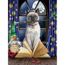 Load image into Gallery viewer, Cat - Full Drill Diamond Painting
