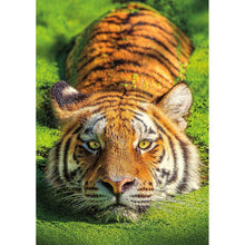 Load image into Gallery viewer, Tiger - Full Drill Diamond Painting
