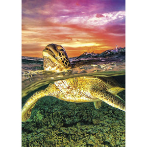 Sea Turtle - Full Drill Diamond Painting