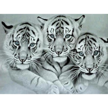 Load image into Gallery viewer, Tiger - Full Drill Diamond Painting
