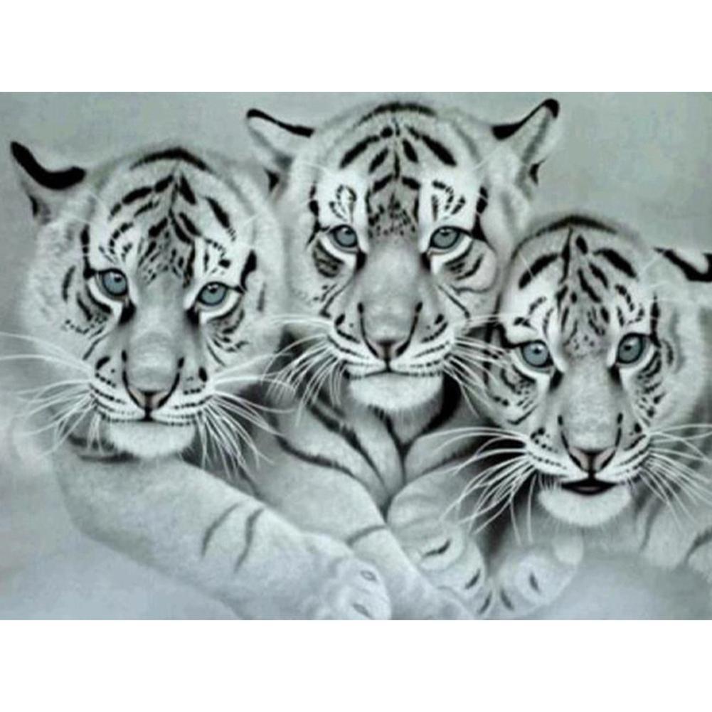 Tiger - Full Drill Diamond Painting