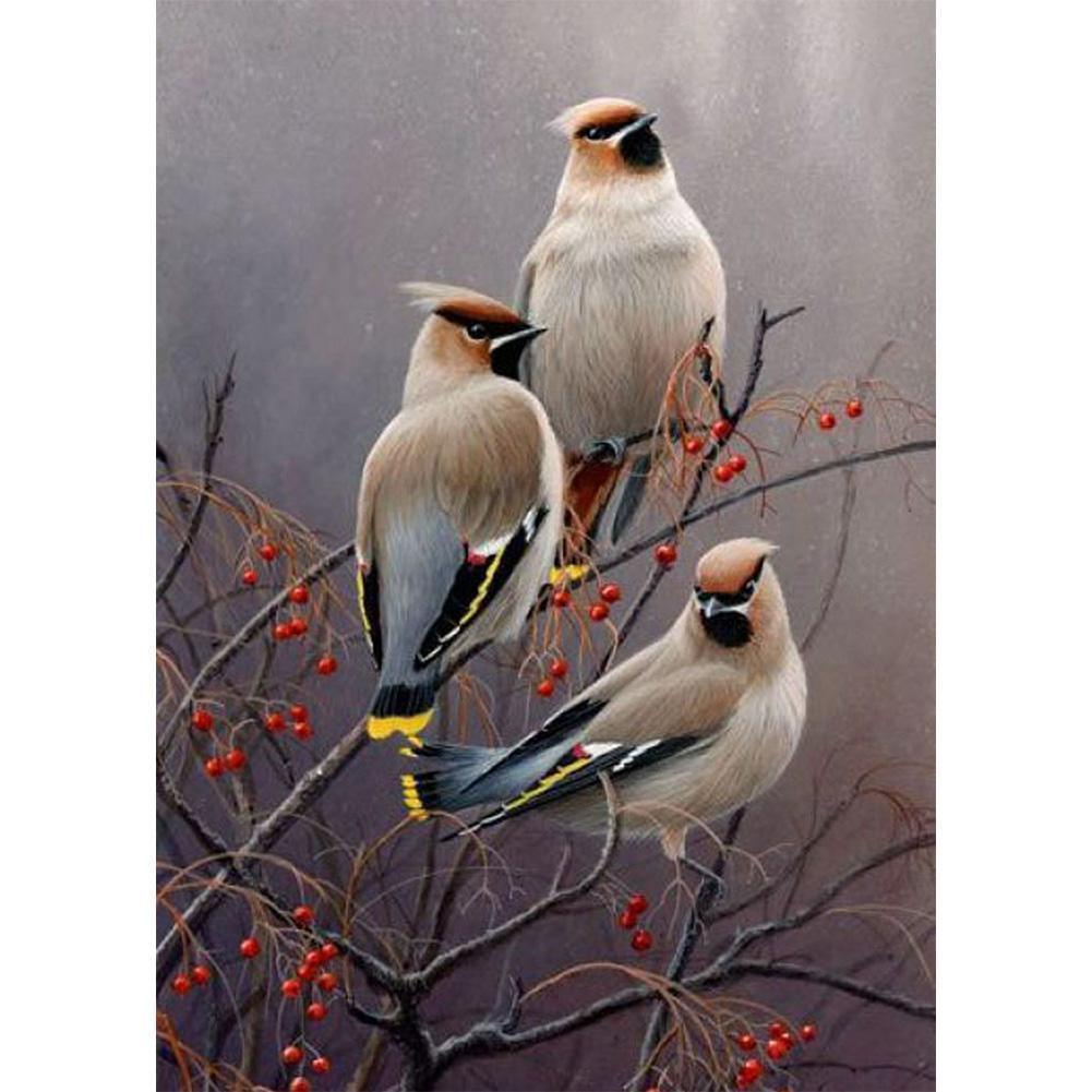 Bird - Full Drill Diamond Painting