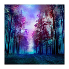 Load image into Gallery viewer, Night starry sky scenery  - Full Drill Diamond Painting
