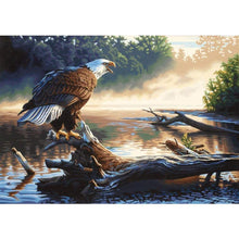 Load image into Gallery viewer, Eagle - Full Drill Diamond Painting
