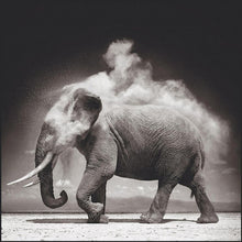 Load image into Gallery viewer, Elephant - Full Drill Diamond Painting
