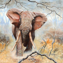 Load image into Gallery viewer, Elephant - Full Drill Diamond Painting
