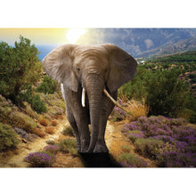 Load image into Gallery viewer, Elephant - Full Drill Diamond Painting
