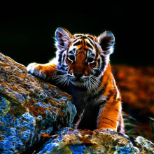 Load image into Gallery viewer, Tiger - Full Drill Diamond Painting
