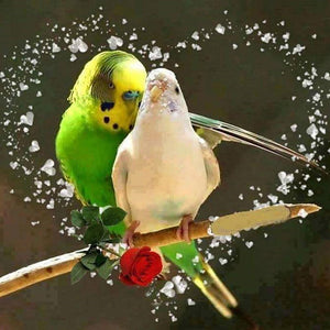 Parrot - Full Drill Diamond Painting