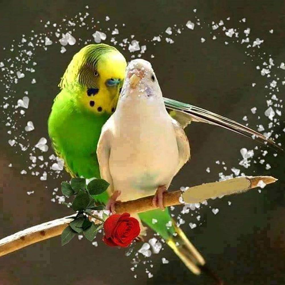 Parrot - Full Drill Diamond Painting