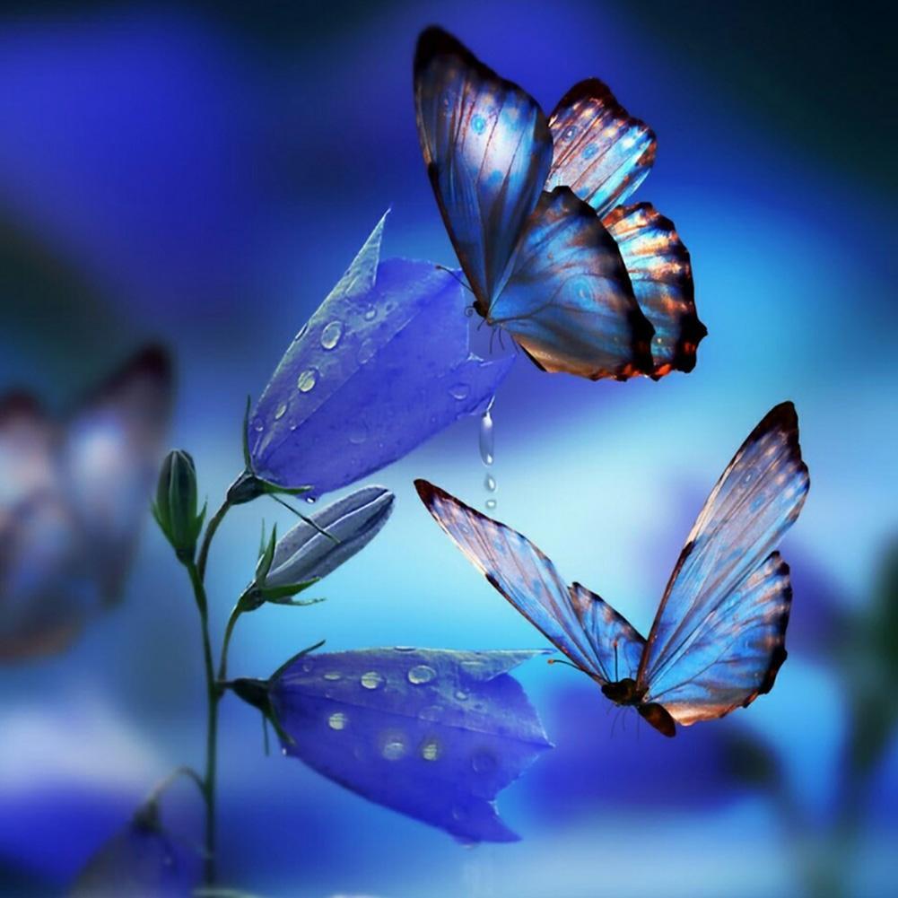 Butterflies Flower - Full Drill Diamond Painting