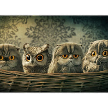 Load image into Gallery viewer, Birds - Full Drill Diamond Painting
