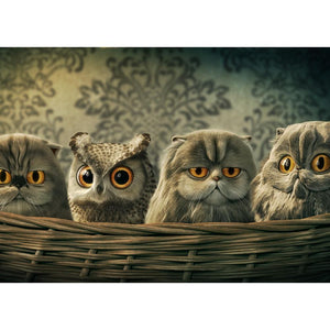 Birds - Full Drill Diamond Painting