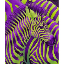 Load image into Gallery viewer, Zebra - Full Drill Diamond Painting
