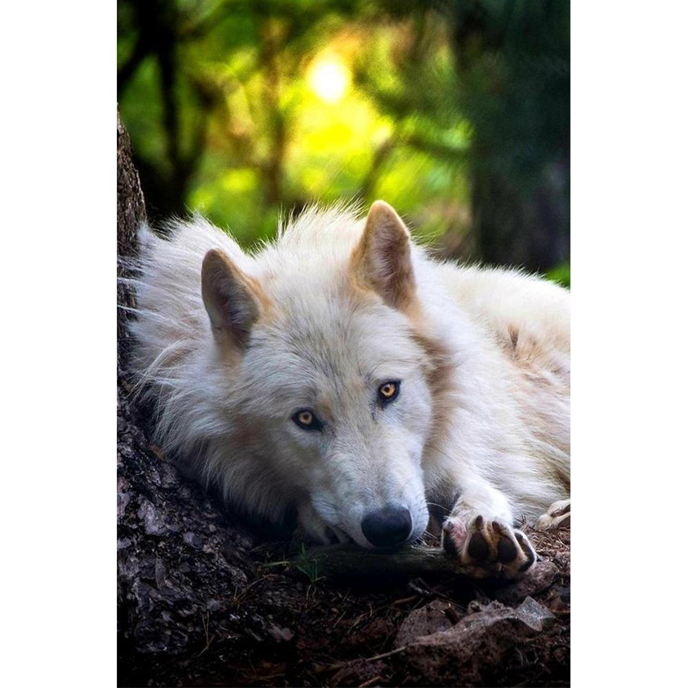 Wolf - Full Drill Diamond Painting