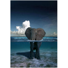 Load image into Gallery viewer, Elephant - Full Drill Diamond Painting
