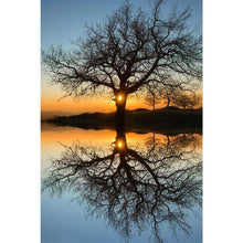 Load image into Gallery viewer, Scenery  - Full Drill Diamond Painting
