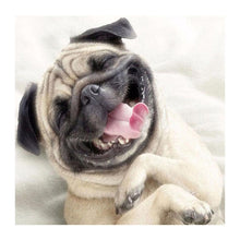 Load image into Gallery viewer, Dog - Full Drill Diamond Painting

