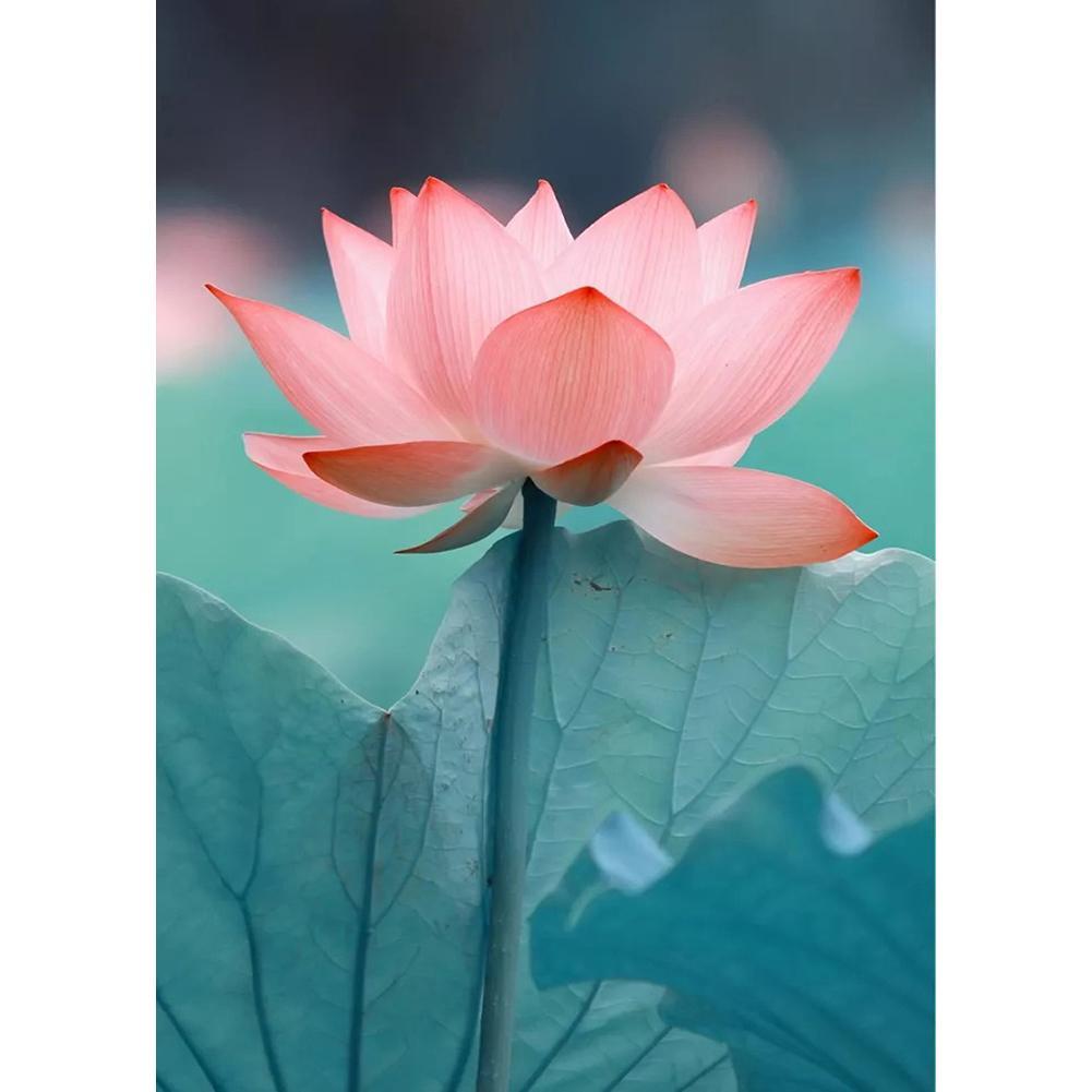 Flowers - Full Drill Diamond Painting