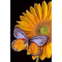 Load image into Gallery viewer, Butterfly - Full Drill Diamond Painting
