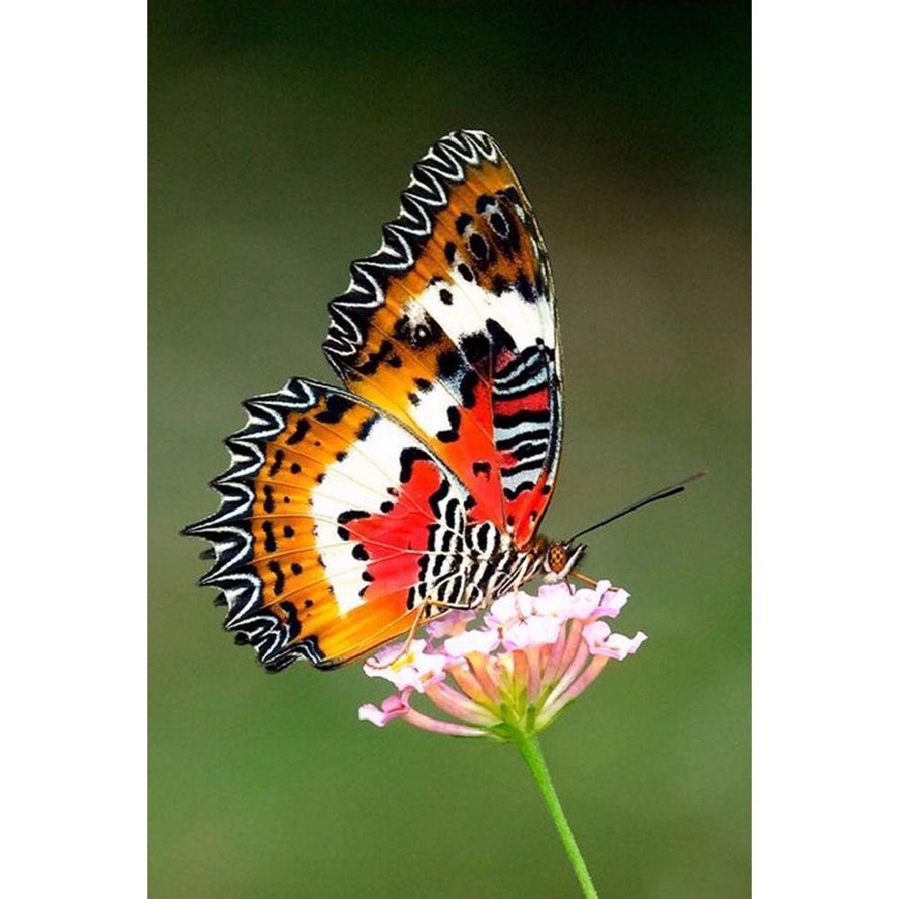 Butterfly - Full Drill Diamond Painting