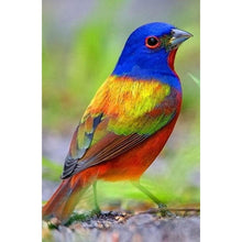 Load image into Gallery viewer, Bird - Full Drill Diamond Painting
