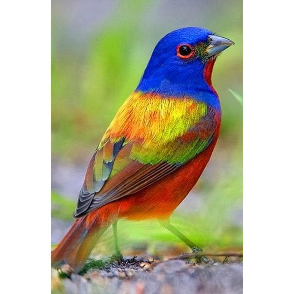 Bird - Full Drill Diamond Painting