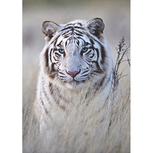 Tiger - Full Drill Diamond Painting