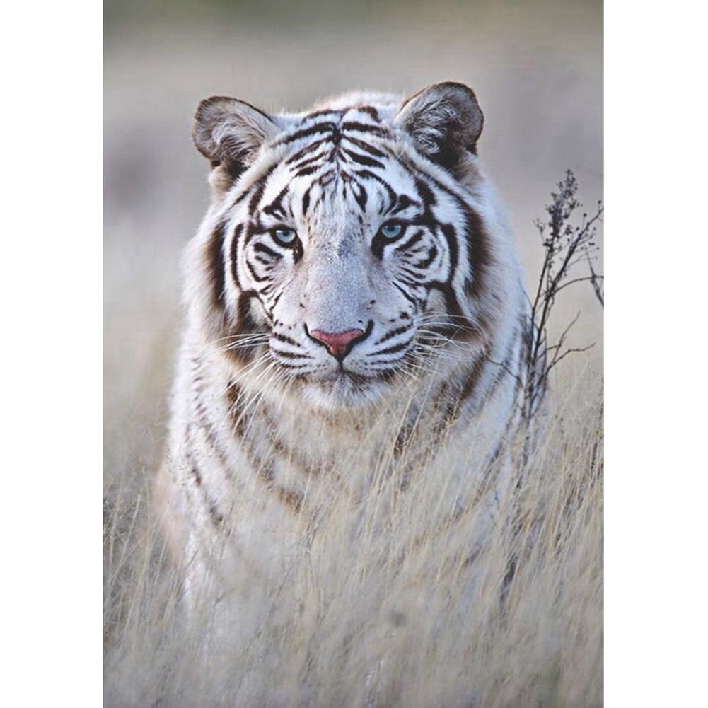 Tiger - Full Drill Diamond Painting