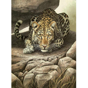 Tiger - Full Drill Diamond Painting