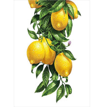 Load image into Gallery viewer, Fruit - Full Drill Diamond Painting
