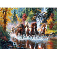Load image into Gallery viewer, Horse - Full Drill Diamond Painting
