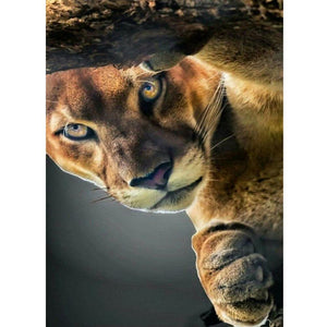 Tiger - Full Drill Diamond Painting