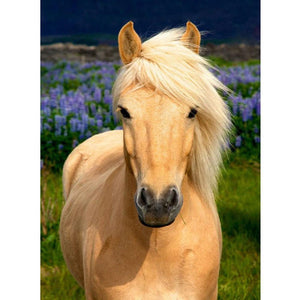 Horse - Full Drill Diamond Painting