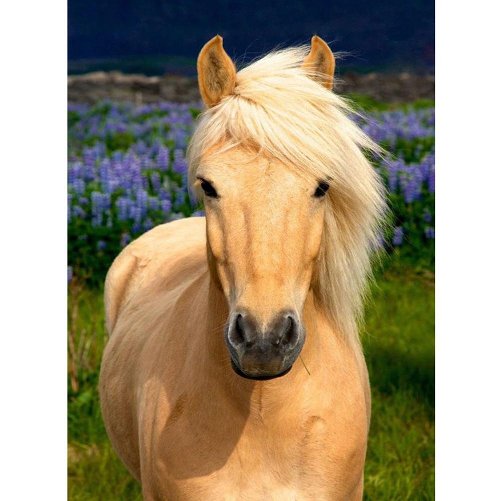 Horse - Full Drill Diamond Painting