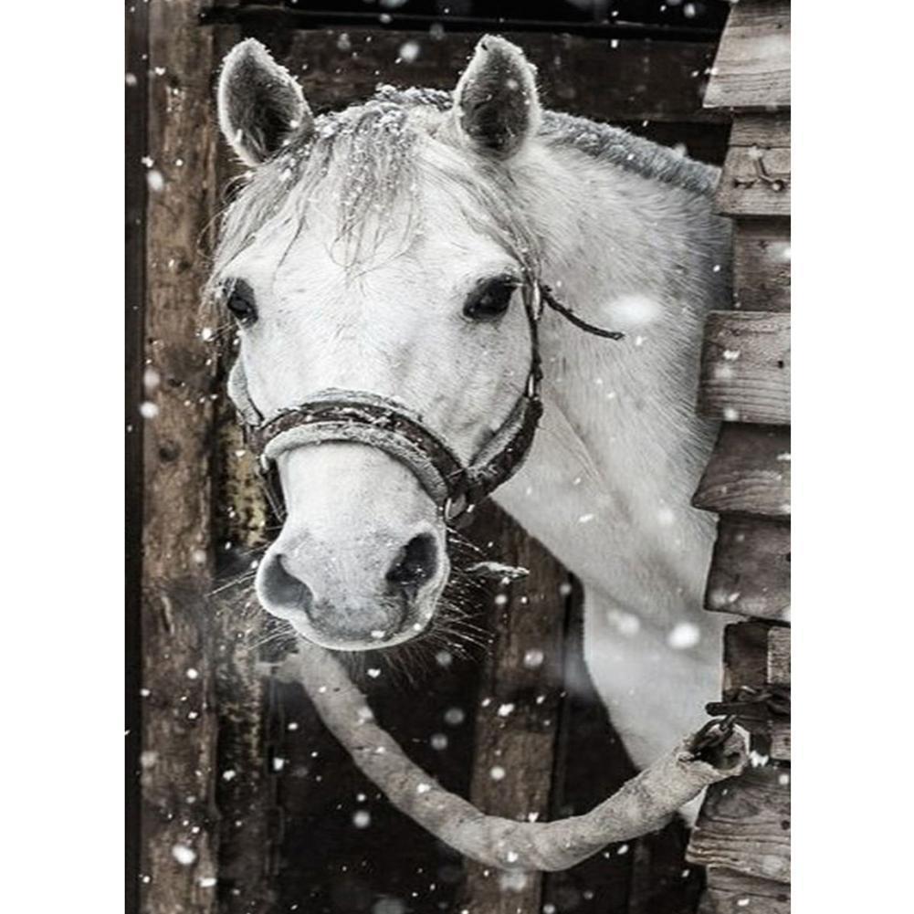Horse - Full Drill Diamond Painting