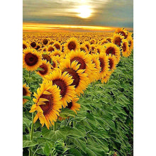 Load image into Gallery viewer, Sunflower  - Full Drill Diamond Painting
