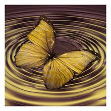 Load image into Gallery viewer, Butterfly - Full Drill Diamond Painting
