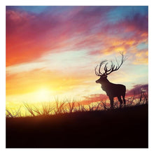 Load image into Gallery viewer, Sunset Glow - Full Drill Diamond Painting
