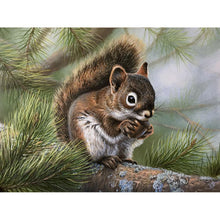 Load image into Gallery viewer, Squirrel - Full Drill Diamond Painting
