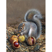 Load image into Gallery viewer, Squirrel - Full Drill Diamond Painting
