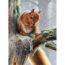Load image into Gallery viewer, Squirrel - Full Drill Diamond Painting
