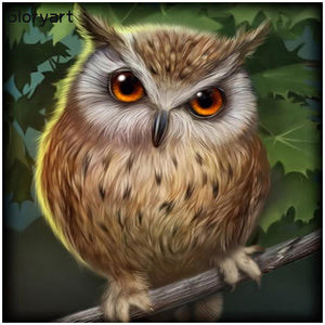 Owl - Full Drill Diamond Painting