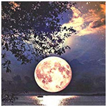 Load image into Gallery viewer, Moon - Full Drill Diamond Painting
