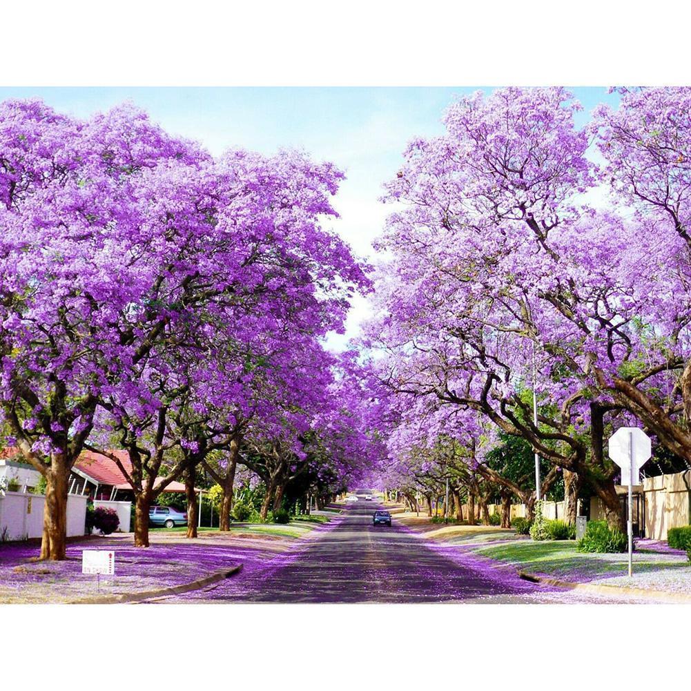 Bauhinia - Full Drill Diamond Painting