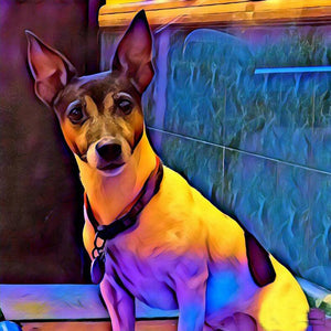 Dog - Full Drill Diamond Painting