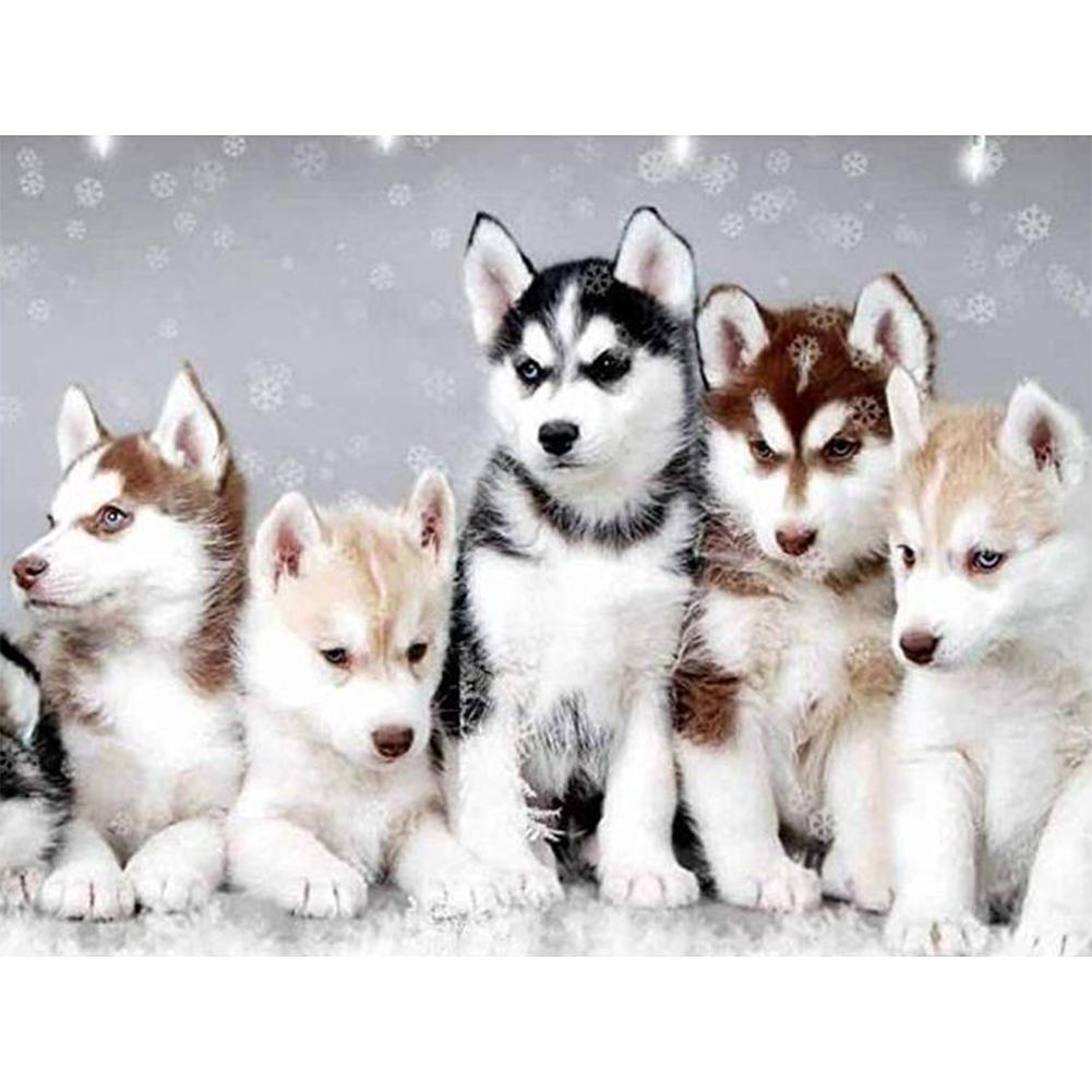 Dogs - Full Drill Diamond Painting