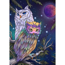Load image into Gallery viewer, Owl - Full Drill Diamond Painting
