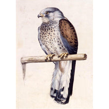 Load image into Gallery viewer, Bird - Full Drill Diamond Painting
